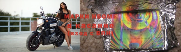 прущие грибы Володарск