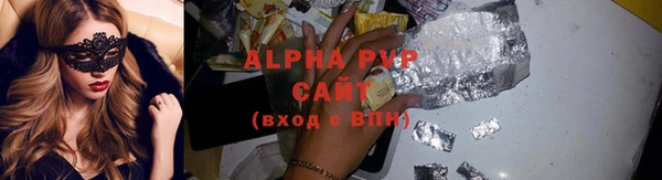 прущие грибы Володарск