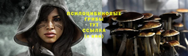 прущие грибы Володарск