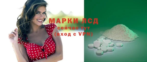 прущие грибы Володарск