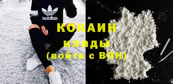 прущие грибы Володарск